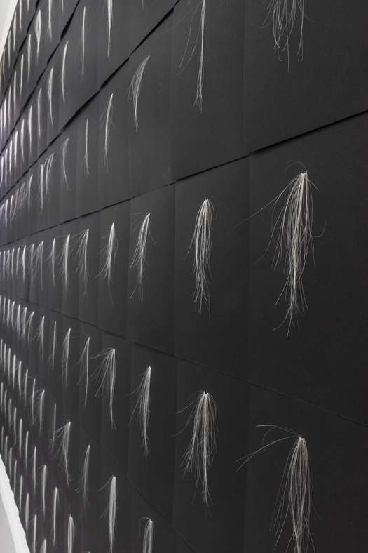 Col xl ls smallspace udsnitx 2025