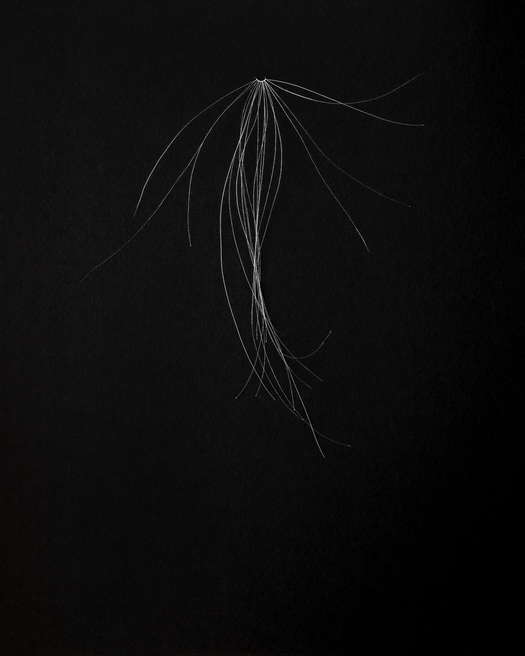 Col xl ls lys lille 2025